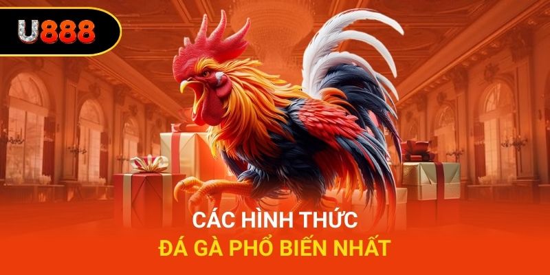 Các hình thức đá gà U888