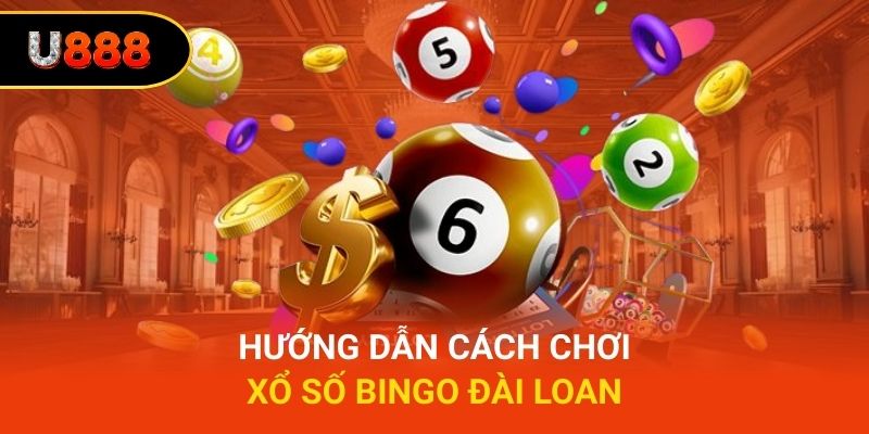 Hướng dẫn cách chơi xổ số bingo Đài Loan