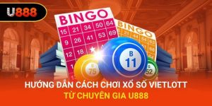 Hướng Dẫn Cách Chơi Xổ Số Vietlott Từ Chuyên Gia U888